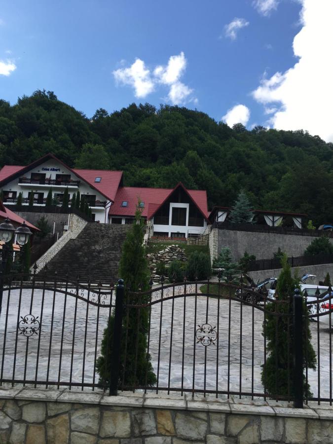 Casa Albert Hotel Lepşa Zewnętrze zdjęcie