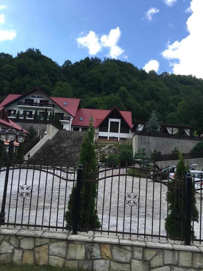 Casa Albert Hotel Lepşa Zewnętrze zdjęcie